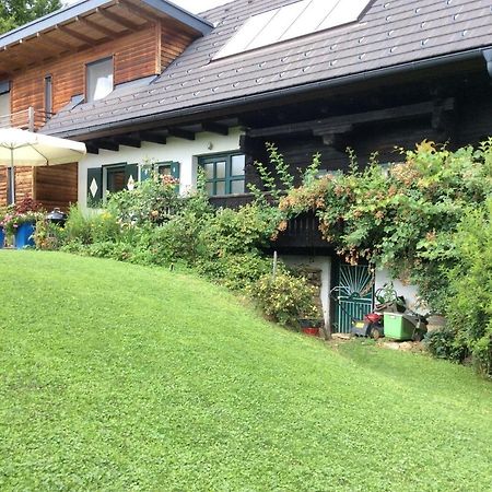 Ferienhaus Blumenparadies シュタインツ エクステリア 写真
