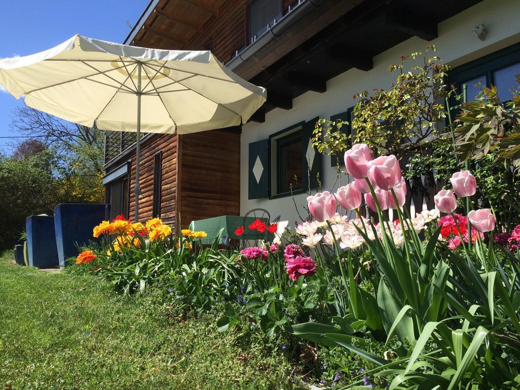 Ferienhaus Blumenparadies シュタインツ エクステリア 写真